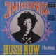JIMI HENDRIX - Hush now